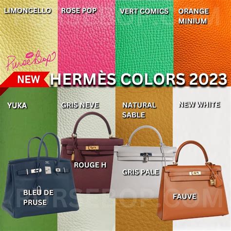 hermes geta bag colors|hermes birkin color chart.